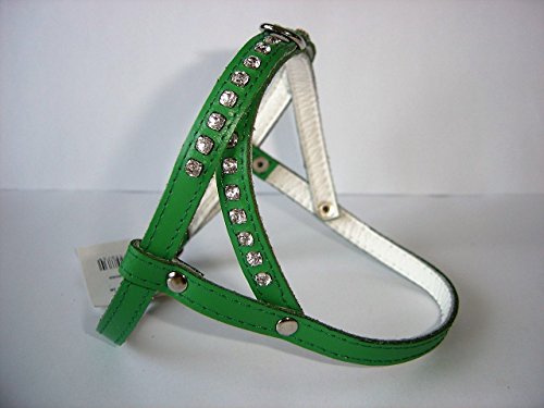 HUNDEGESCHIRR - Geschirr, Strass - Zirkonia Brustumfang 27-36cm Echt Leder + GRÜN ****Hundegröße: XXS - XS HUNDEGESCHIRR - Geschirr, Strass - Zirkonia Brustumfang 27-36cm Echt Leder + GRÜN ****Hundegröße: XXS - XS von Lusy011