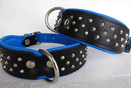 Leder Halsband - Hundehalsband, Nieten, Halsumfang 38-46cm, Schwarz-BLAU, NEU (10-32) von Lusy011