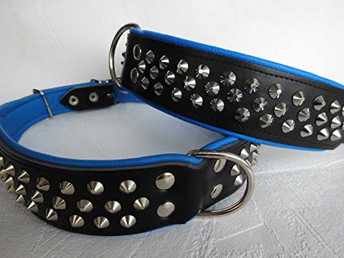 Lusy011 Leder Halsband - Hundehalsband, Nieten, Halsumfang 51-61cm, Schwarz-Blau, NEU (2.10.13.33) von Lusy011