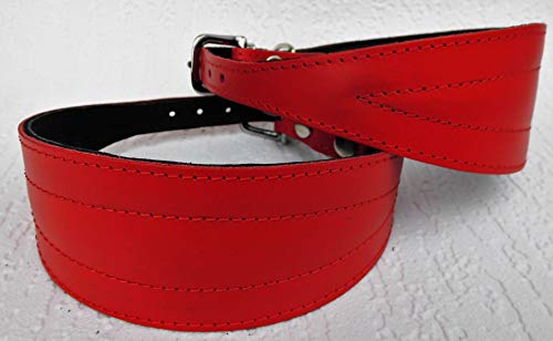 Galgo Greyhound Windhund - Halsband, Halsumfang 40-47cm/65mm Leder °ROT°(PL.9-10-626) von Lusy011