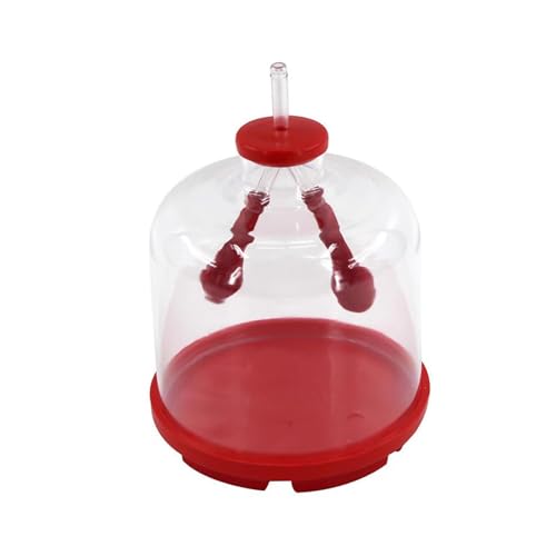 Luwecf Demonstrationsmodell Zur Lungenatmung, Lungenatmungsmodell für Kinder, Geschenk Luwecf Demonstrationsmodell Zur Lungenatmung, Lungenatmungsmodell für Kinder, Geschenk von Luwecf