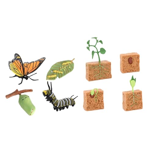 Luwecf Lebenszyklus Figuren Spielzeugset Schmetterling Und Bohnenpflanzen Lebenszyklus Kollektion Luwecf Lebenszyklus Figuren Spielzeugset Schmetterling Und Bohnenpflanzen Lebenszyklus Kollektion von Luwecf