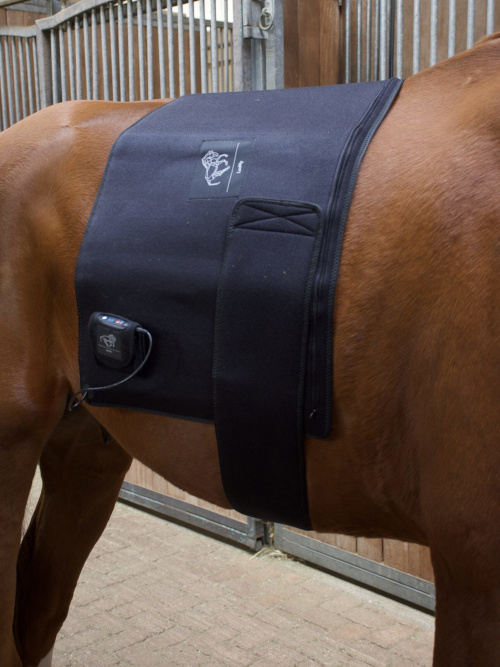 LuxMy Lichttherapie L-Pad Für Rücken, Bauch, Hws, Flanke, Isg, Hüfte & Knie von LuxMy