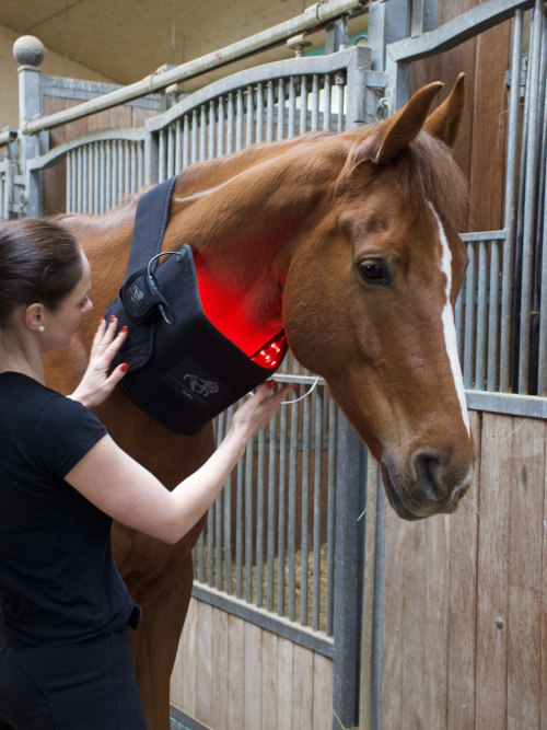 LuxMy Lichttherapie M-Pad Für Genick, Schulter, Brustbein & Gelenke von LuxMy