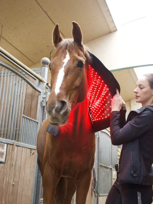 LuxMy Lichttherapie Xl-Pad Für Halswirbelsäule, Rücke, Brust & Kruppe von LuxMy