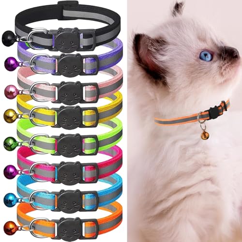 8 Stück reflektierende Katzenhalsband Pack mit Glocke, Kätzchen Halsband Sicherheit Schnellspanner Schnalle, mit Namensschild, einstellbar für Mädchen männliche Katzen, Haustier-Zubehör 8 Stück reflektierende Katzenhalsband Pack mit Glocke, Kätzchen Halsband Sicherheit Schnellspanner Schnalle, mit Namensschild, einstellbar für Mädchen männliche Katzen, Haustier-Zubehör von Luxiremi