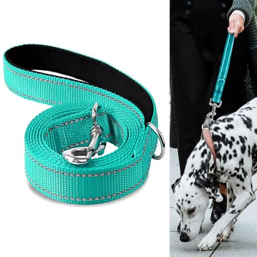 Hundeleine mit gepolstertem Griff, doppelseitige reflektierende Nylonleinen für Training, Spaziergang Leine für kleine, mittelgroße Hunde Hundeleine mit gepolstertem Griff, doppelseitige reflektierende Nylonleinen für Training, Spaziergang Leine für kleine, mittelgroße Hunde von Luxiremi