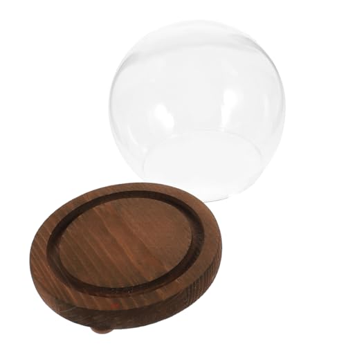 Kugelförmige Glaskuppel mit Holzsockel Dekorativer Terrarium Dom für Pflanzen Sukkulenten und Sammlerstücke Staubschutz und Langlebiges Design für Kreative Tischdekoration Kugelförmige Glaskuppel mit Holzsockel Dekorativer Terrarium Dom für Pflanzen Sukkulenten und Sammlerstücke Staubschutz und Langlebiges Design für Kreative Tischdekoration von Luxshiny
