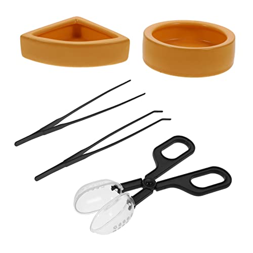 Luxshiny 1 Satz Reptilien Futter Set mit Schale und Pinzette Teiliges Fütterungszubehör für Schildkröten Eidechsen und Andere Reptilien Langlebig und Sicher für Einfache Fütterung von Luxshiny