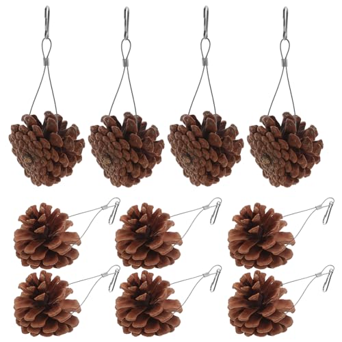 Luxshiny 10 Stück Teiliges Natur Pinienzapfen Vogelspielzeug für Papageien und Kleintiere Widerstandsfähiges Kau für Vögel für Käfige und Beschäftigung von Luxshiny