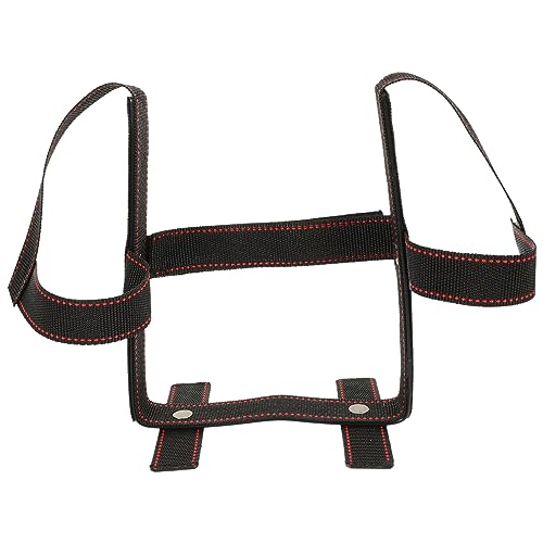 Luxshiny 1Satz Hunde Ohrstütze für Welpen Stehband für Aufrechte Ohren Geeignet für Deutsche Schäferhunde Dobermann Corgis Haustier Zubehör Luxshiny 1Satz Hunde Ohrstütze für Welpen Stehband für Aufrechte Ohren Geeignet für Deutsche Schäferhunde Dobermann Corgis Haustier Zubehör von Luxshiny