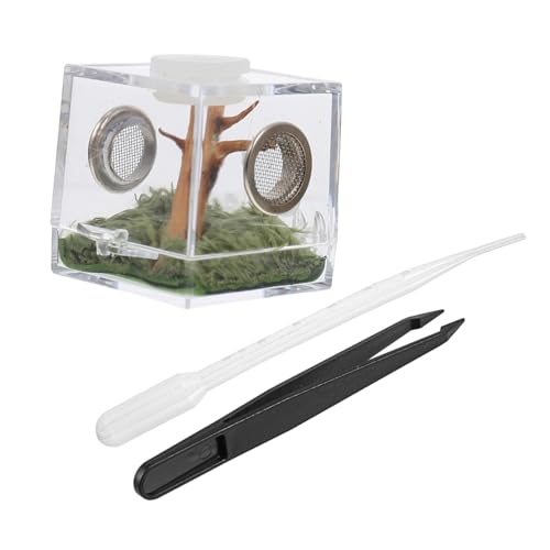 Luxshiny 1Satz Kleines Transparentes Reptilienzuchtbox für Springspinnen und Futtertiere aus Robustem Leicht und Kompakt Einfach zu Bedienen für Haustierhaltung Luxshiny 1Satz Kleines Transparentes Reptilienzuchtbox für Springspinnen und Futtertiere aus Robustem Leicht und Kompakt Einfach zu Bedienen für Haustierhaltung von Luxshiny