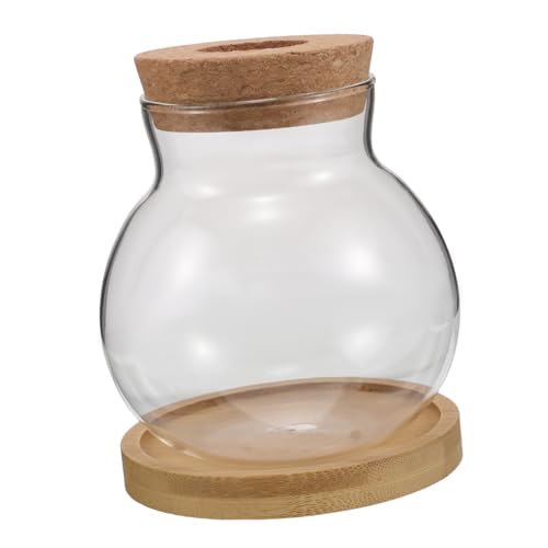 Luxshiny 2 Sets Hydrokultur Pflanzflasche Terrarium Schale Anzuchtgläser Vase Terrarium Glas Hydrokultur Pflanzschale Anzuchtstationen Glasterrarium Mit Deckel Terrarien Kork Luxshiny 2 Sets Hydrokultur Pflanzflasche Terrarium Schale Anzuchtgläser Vase Terrarium Glas Hydrokultur Pflanzschale Anzuchtstationen Glasterrarium Mit Deckel Terrarien Kork von Luxshiny