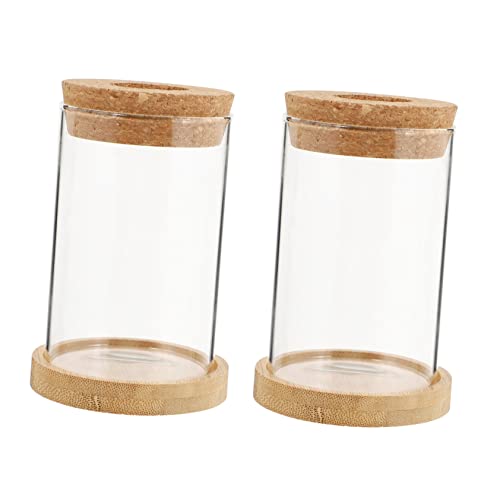 Luxshiny 2 Stück Hydroponische Glasvase mit Holzständer Terrarium für Pflanzen Stilvolle Tischdekoration für Zuhause und Büro für Hydrokultur und Pflanzenvermehrung von Luxshiny