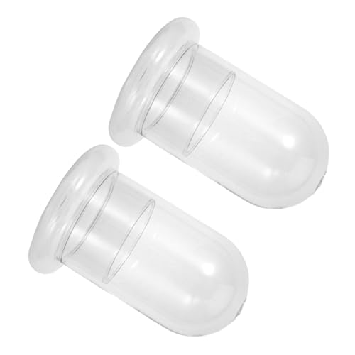 Luxshiny 2 Stück Moos Ökologische Glasflasche Landschafts Dekoration für DIY Mikrolandschaften für Tisch Regal und Wohnraumgestaltung Luxshiny 2 Stück Moos Ökologische Glasflasche Landschafts Dekoration für DIY Mikrolandschaften für Tisch Regal und Wohnraumgestaltung von Luxshiny