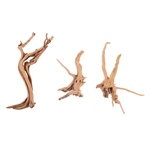 Luxshiny 3 Stück Teiliges Aquarium Driftwood Natürliche Dekoration Lebensechte Moorkienholz Wurzel für Fischversteck Terrarium Reptilien mit Stabilem Stand und Farbechtem Design Luxshiny 3 Stück Teiliges Aquarium Driftwood Natürliche Dekoration Lebensechte Moorkienholz Wurzel für Fischversteck Terrarium Reptilien mit Stabilem Stand und Farbechtem Design von Luxshiny
