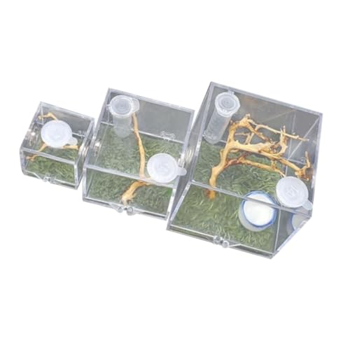 Luxshiny 3 Stück Teiliges Insektenfütterungsset für Springende Spinnen Zuchtbox mit Bewässertem Futtereingang für Taranteln Geckos und Kleine Reptilien Luxshiny 3 Stück Teiliges Insektenfütterungsset für Springende Spinnen Zuchtbox mit Bewässertem Futtereingang für Taranteln Geckos und Kleine Reptilien von Luxshiny