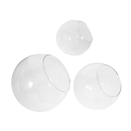 Luxshiny 3 Stück Teiliges Transparenten Landschaftsflaschen Schräg Geschnittene Vasen für Pflanzen Terrarien für Sukkulenten und DIY Projekte von Luxshiny
