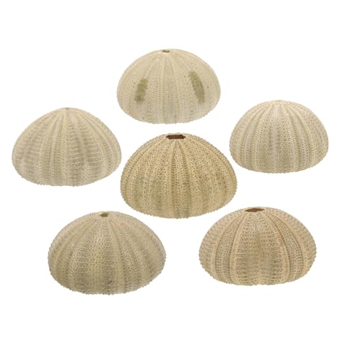 Luxshiny 6 Stck. Teiliges Natürliche Seeigelschalen aus Muschelmaterial Einzigartige und Stabile Dekoration für Aquarium Bereich und Bastelprojekte Kleine für Warme Atmosphäre und von Luxshiny