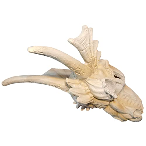 Luxshiny Aquarium Dekoration Resin Dinosaurier Schädel Shrimp Hideout Realistische Fisch Versteck Ornamente Langlebig Ungiftig für Aquarien und Terrarien Naturgetreu Gestaltetes Versteck Luxshiny Aquarium Dekoration Resin Dinosaurier Schädel Shrimp Hideout Realistische Fisch Versteck Ornamente Langlebig Ungiftig für Aquarien und Terrarien Naturgetreu Gestaltetes Versteck von Luxshiny