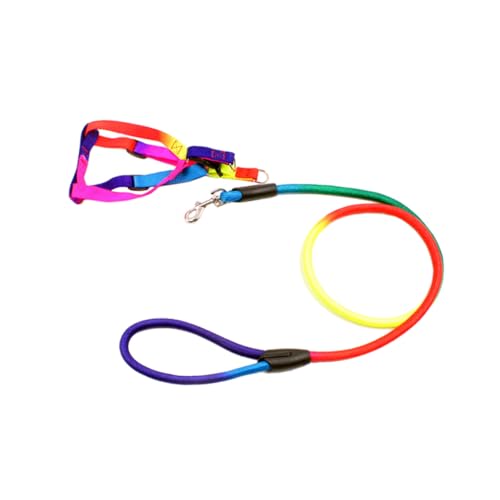 Luxshiny Buntes Hundegeschirr und Traction Rope aus Strapazierfähigem Nylon Verstellbares Brustgeschirr für Mittelgroße Hunde und Welpen Komfortabel und Modisch für Training und von Luxshiny