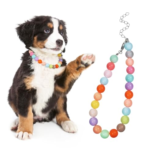 Luxshiny Candy Farbene Perlen Hundehalskette Verstellbares Welpen und Katzenhalsband aus Robustem Harz Süße Haustier Accessoires für Kleine Hunde und Katzen Geburtstagsgeschenk von Luxshiny
