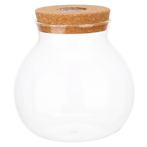 Luxshiny Dekorative LED Glasflasche für Mikrolandschaften Zylindrische Fischflasche für DIY Terrarien für Wohnzimmer Schlafzimmer und Büro Hochborosilikatglas Leicht zu Reinigen mit LED Luxshiny Dekorative LED Glasflasche für Mikrolandschaften Zylindrische Fischflasche für DIY Terrarien für Wohnzimmer Schlafzimmer und Büro Hochborosilikatglas Leicht zu Reinigen mit LED von Luxshiny