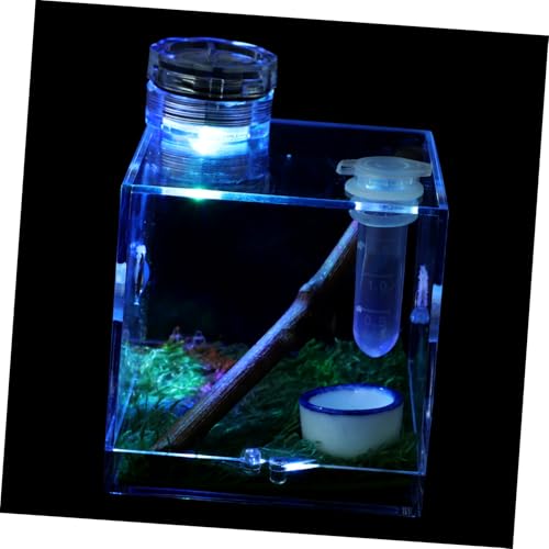 Luxshiny Hochtransparente Spinnenhabitatbox für Springspinnen mit Lampe Feuchtigkeitsresistenter Käfig Teiliges für Einfache Fütterung und Beobachtung für Innenräume Dekoration Luxshiny Hochtransparente Spinnenhabitatbox für Springspinnen mit Lampe Feuchtigkeitsresistenter Käfig Teiliges für Einfache Fütterung und Beobachtung für Innenräume Dekoration von Luxshiny