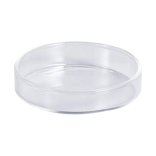 Luxshiny Klarer Glaskrystal Futterbehälter für Garnelen Runde Futterschale für Fische und Reptilien Langlebig und Dekorativ für Aquarien und Terrarien Luxshiny Klarer Glaskrystal Futterbehälter für Garnelen Runde Futterschale für Fische und Reptilien Langlebig und Dekorativ für Aquarien und Terrarien von Luxshiny
