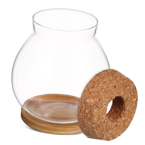 Luxshiny Kleines Hydroponisches Aquarium für Betta Fische mit Bambusmatte Transparentes Terrarium Mittel für Aquatische Pflanzen und Dekoration Luxshiny Kleines Hydroponisches Aquarium für Betta Fische mit Bambusmatte Transparentes Terrarium Mittel für Aquatische Pflanzen und Dekoration von Luxshiny