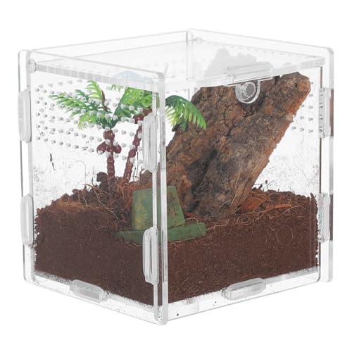 Luxshiny Kleines Terrarium für Haustier Spinnen Sicherer und Kompakter Fütterungsbehälter für Gottesanbeterinnen und Kleine Reptilien Transparentes Design Pack Luxshiny Kleines Terrarium für Haustier Spinnen Sicherer und Kompakter Fütterungsbehälter für Gottesanbeterinnen und Kleine Reptilien Transparentes Design Pack von Luxshiny