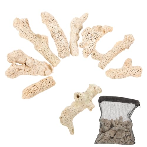 Luxshiny Korallenknochensand Filtermedium für Aquarien Biologisch Reusable Filtermaterial Teich Filterstein zur Wasserreinigung Stabilisiert Ph Verbessert Wasserqualität für Fischglas Luxshiny Korallenknochensand Filtermedium für Aquarien Biologisch Reusable Filtermaterial Teich Filterstein zur Wasserreinigung Stabilisiert Ph Verbessert Wasserqualität für Fischglas von Luxshiny