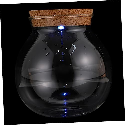 Luxshiny Micro Landschaftsflasche DIY Terrarium mit LED Licht Dekorative Glasvase für Pflanzen und Moos Geeignet für Heim und Bürodekoration Luxshiny Micro Landschaftsflasche DIY Terrarium mit LED Licht Dekorative Glasvase für Pflanzen und Moos Geeignet für Heim und Bürodekoration von Luxshiny