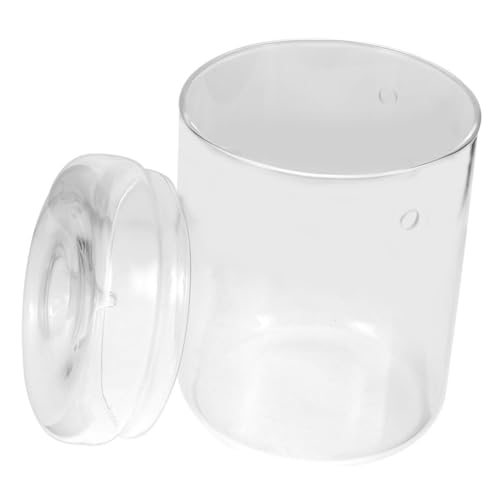 Luxshiny Mikrolandschaft Pflanzenflasche Transparente Glasflasche für DIY Terrarium Kreative Dekoration für Wohnzimmer Büro Vielseitig Einsetzbar für Pflanzen von Luxshiny