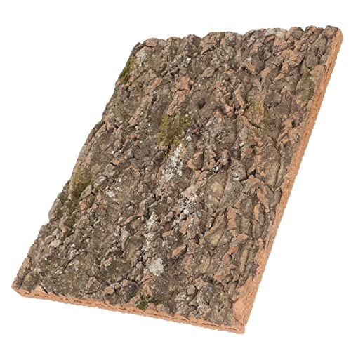Luxshiny Natürliche Korkrinde Terrarien Dekoration Kletterwand für Reptilien Schildkröten und Echsen Langlebig Sicher mit Einzigartiger Struktur und Natürlichem Design Luxshiny Natürliche Korkrinde Terrarien Dekoration Kletterwand für Reptilien Schildkröten und Echsen Langlebig Sicher mit Einzigartiger Struktur und Natürlichem Design von Luxshiny