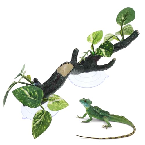 Luxshiny Reptile Climbing Branch aus Resin für Terrarien Künstliche Zweige für Bartagamen Eidechsen und Chamäleons Installieren Struktur für Natürlichen Lebensraum Luxshiny Reptile Climbing Branch aus Resin für Terrarien Künstliche Zweige für Bartagamen Eidechsen und Chamäleons Installieren Struktur für Natürlichen Lebensraum von Luxshiny