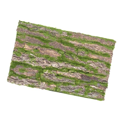 Luxshiny Reptilien Habitat Kork Rückwand Natürliche für Terrarien Kletterplattform und Dekoration für Bartagamen Eidechsen und Schildkröten Luxshiny Reptilien Habitat Kork Rückwand Natürliche für Terrarien Kletterplattform und Dekoration für Bartagamen Eidechsen und Schildkröten von Luxshiny