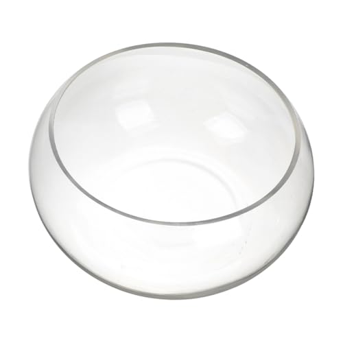 Luxshiny Runde Glasfischschale Durchmesser Stabile Glasfischschale für Kleine Fische und Hydroponik Pflanzenschale Dekorativ für Büro und Wohnzimmer von Luxshiny