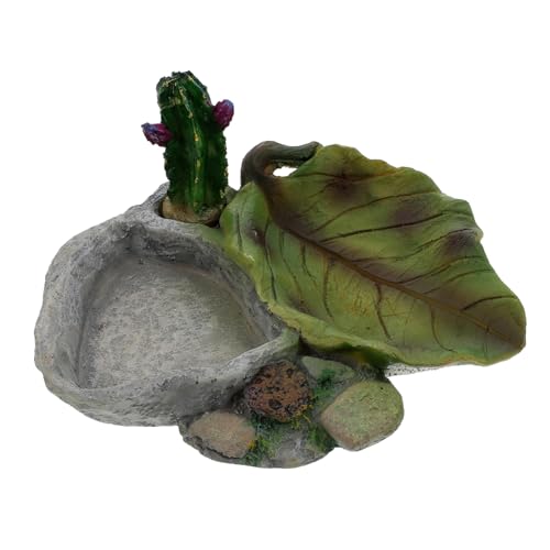 Luxshiny Torten Wasserschale für Reptilien Futter und Trinkbehälter für Schildkröten Geckos und Eidechsen Dekorativ und Praktisch für Terrarien und Aquarien für und Zoohandlungen Luxshiny Torten Wasserschale für Reptilien Futter und Trinkbehälter für Schildkröten Geckos und Eidechsen Dekorativ und Praktisch für Terrarien und Aquarien für und Zoohandlungen von Luxshiny