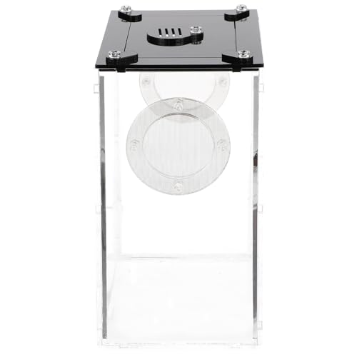 Luxshiny Transparente Reptilienbox aus Zuchtbox für Echsen Schlangen und Spinnen mit Guter Lichtdurchlässigkeit für Heimgebrauch und Transport von Kleinen Haustieren Luxshiny Transparente Reptilienbox aus Zuchtbox für Echsen Schlangen und Spinnen mit Guter Lichtdurchlässigkeit für Heimgebrauch und Transport von Kleinen Haustieren von Luxshiny