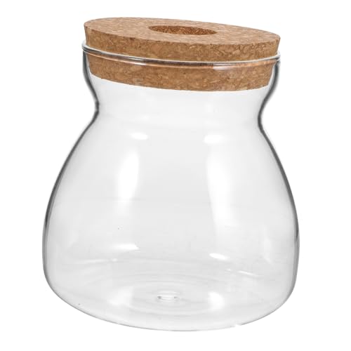 Luxshiny saftige Vase Anlage Pflanzenterrarium Vermehrungsgefäße Behälter für hydroponische Pflanzen Container Hydroponischer Pflanzer Pflanzbehälter für Terrarium hölzern Transparent Luxshiny saftige Vase Anlage Pflanzenterrarium Vermehrungsgefäße Behälter für hydroponische Pflanzen Container Hydroponischer Pflanzer Pflanzbehälter für Terrarium hölzern Transparent von Luxshiny
