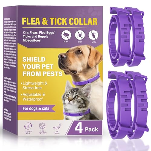 Luxsure Hundehalsband, Verstellbare Größe Katzenhalsband, 4er-Pack Luxsure Hundehalsband, Verstellbare Größe Katzenhalsband, 4er-Pack von Luxsure