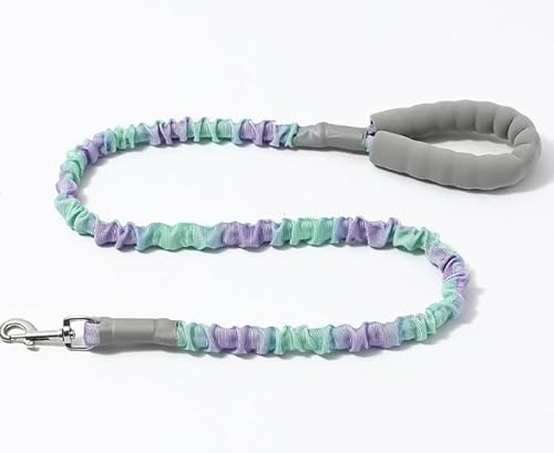 Hundeleine Elastisch 120 cm,Ruckdämpfer für Hunde Leine,Nylon-Klassik-Hundeleine,Hundeleine Ruckdämpfer Weicher Gepolsterter Griff,Für Kleine, Mittelgroße und Große Hunde Spazierengehen, Joggen,Grün Hundeleine Elastisch 120 cm,Ruckdämpfer für Hunde Leine,Nylon-Klassik-Hundeleine,Hundeleine Ruckdämpfer Weicher Gepolsterter Griff,Für Kleine, Mittelgroße und Große Hunde Spazierengehen, Joggen,Grün von Luxvara