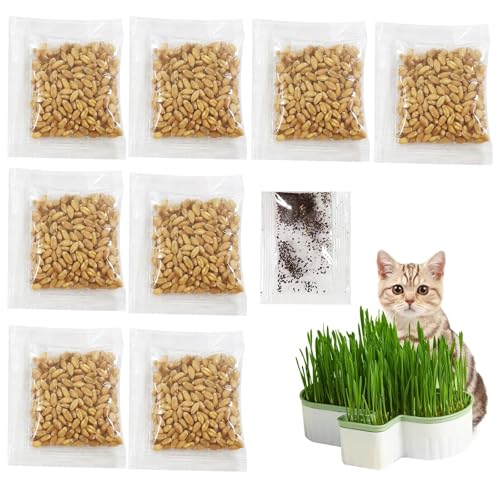 Luyuttn Katzenminze Samen 200 Pcs + Katzengras Samen 120g, Saatgut Katzenminze Pflanze, Catnip Pflanze Saat, Katzengras für Katzen, Katzengrassamen, Cat Grass Seeds, Katzenminze-Samen von Luyuttn