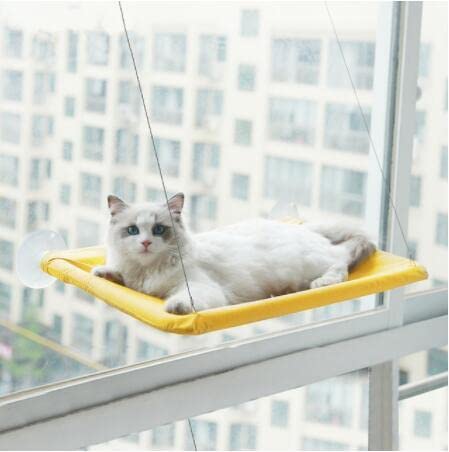 Bonitas camas colgantes para mascotas con soporte para asiento de ventana soleada para gatos de 20kg, hamaca para gatos, cómoda cama para gatos, estante para cama, camas, triangulación de envíos von LvSenLin