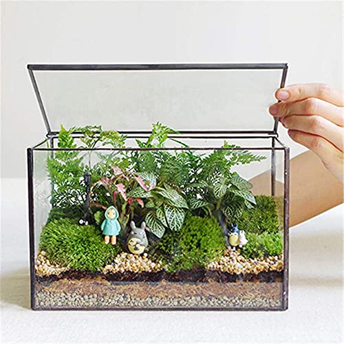 Glas-Pflanzgefäße, Terrarium mit Deckel, geometrische Pflanzen, Terrarienbehälter für Moos, Zimmerpflanzen, Tischplatte, rechteckig, schwarz, Terrarium, Pflanzkasten für Schreibtisch, 21,6 cm L x 12,9 von Lvpage