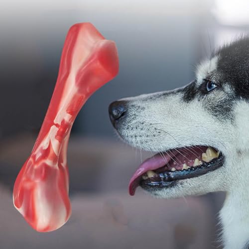Lvpradior Unzerstörbares Hunde-Kauspielzeug für Aggressive Kauer, langlebiges Nylon-Rindfleischgeschmack, Hundeknochen für mittelgroße Rassen, Zahnreinigung, Zahnen, fördert gesunde Zähne von Lvpradior