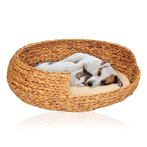 Lycce Hundebett Katzenbett Opal Wasserhyazinthe Natur Gr. 4 (Ø 70 cm) von Lycce