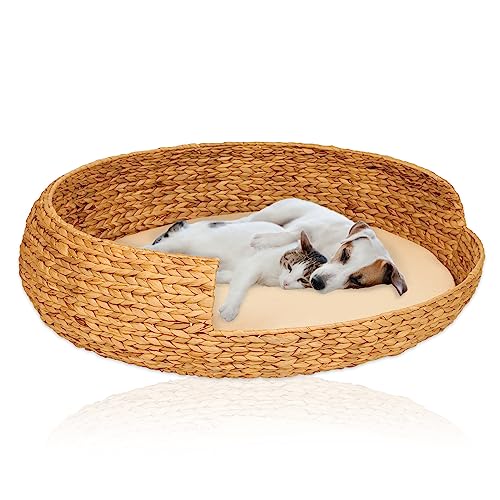 Lycce Hundebett Katzenbett Opal Wasserhyazinthe Natur Gr. 5 (Ø 83 cm) von Lycce