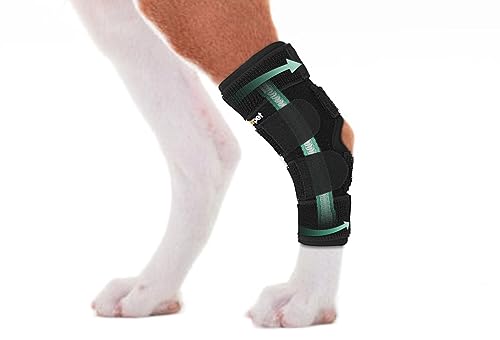 Lyderpet Hunde-Hinterbein-Bandage für Sprunggelenk, Kompressionsbandage, starke Unterstützung, Rückenbein für Hunde mit gerissenem ACL & CCL, Verletzungs- und Verstauchungsschutz, hält Stabilität bei Lyderpet Hunde-Hinterbein-Bandage für Sprunggelenk, Kompressionsbandage, starke Unterstützung, Rückenbein für Hunde mit gerissenem ACL & CCL, Verletzungs- und Verstauchungsschutz, hält Stabilität bei von Lyderpet